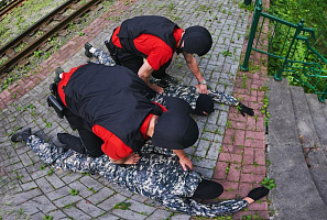 Гастролёры задержаны